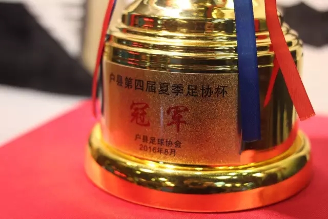 匈牙利与蒙古的激战：十万骑士与六万骑兵的惨烈交锋